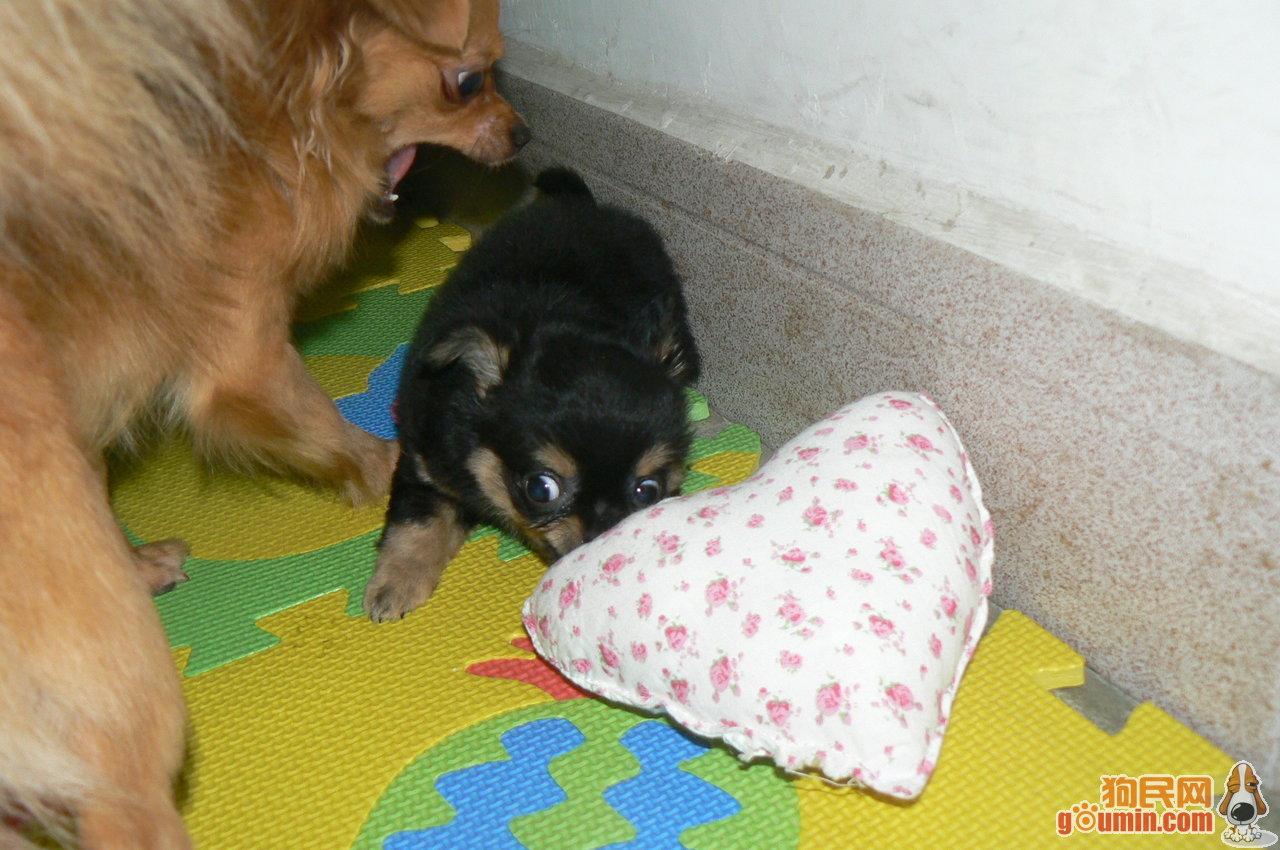 “panda sports”18岁混社会 掌权4年 做了12年老婆 现在身价几十亿(图2) xiongmao体育