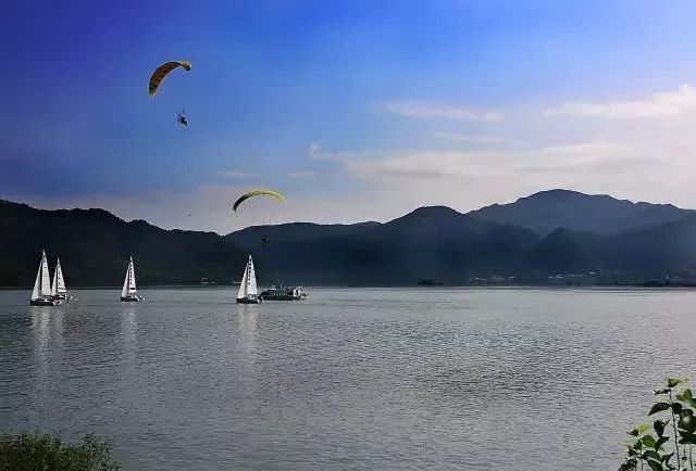 panda sports_这个省靠它致富,但也被它掏空(图4) panda sports