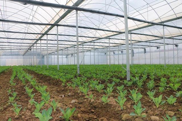 《陪同的气力》- 带你探讨孩子康健发展的四大基本要素“熊猫体育”(图3) 熊猫体育