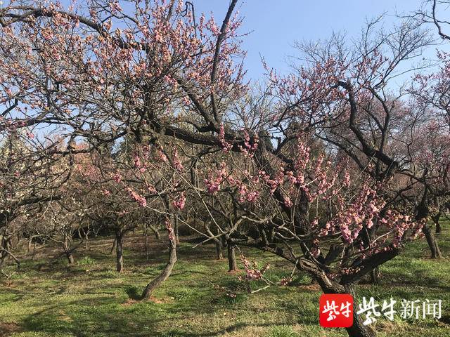 “xiongmao体育”王立群:揭秘秦始皇的生父异人生平(图4) 熊猫体育