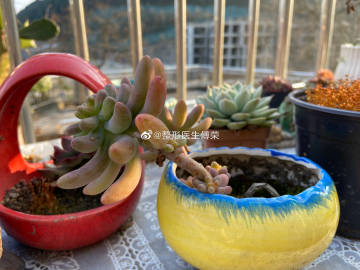 ‘panda sports’儿女陪伴是老人们最好的“保健品”(图1) panda sports