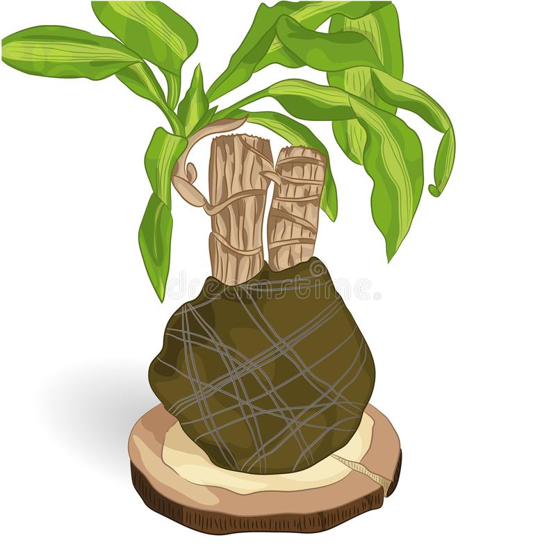 《刺客信条》电影内涵 你不知道的刺客大数据‘xiongmao体育’(图2) panda sports