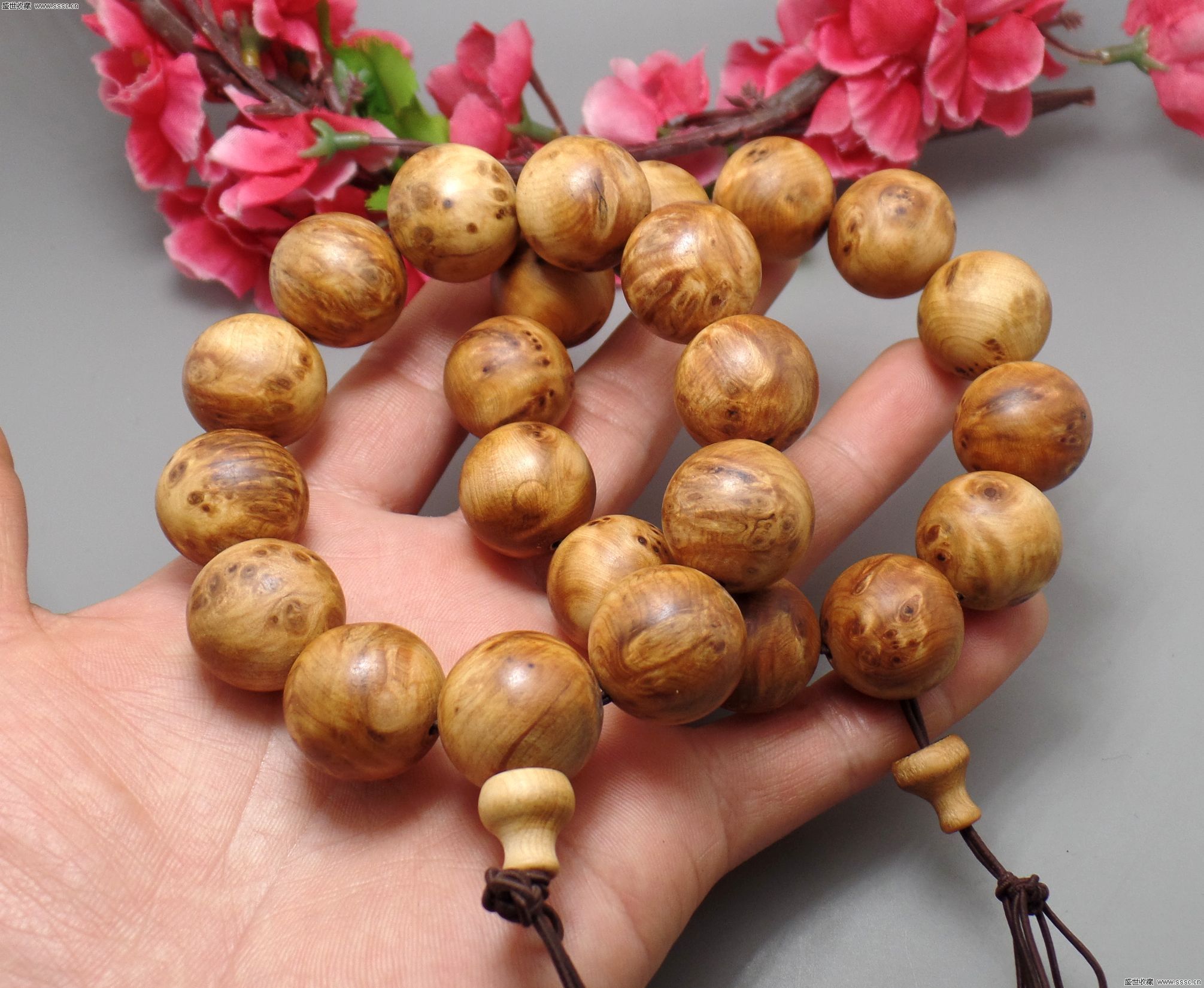 万维钢:人是一台有出厂设置的机械 人类社会自有“蓝图”【熊猫体育】(图5) xiongmao体育