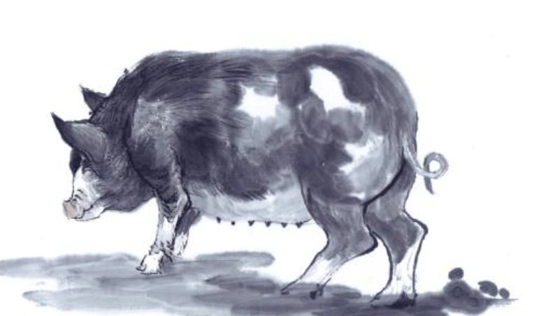 熊猫体育|
明年运势大揭秘 四生肖霉运烟消云散 幸运围绕在身边！(图4)