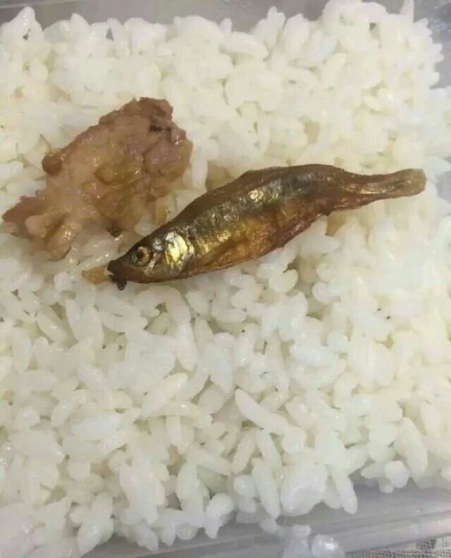 绝地求生攀爬翻墙机制详解 人物大跳恐遭取消“xiongmao体育”(图4) 熊猫体育