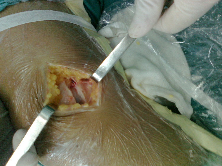 不是所有的“抚摸”都是“爱的表达”:xiongmao体育(图1) xiongmao体育