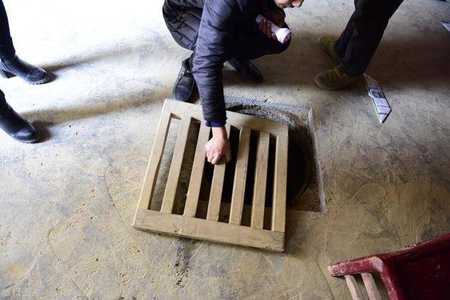 xiongmao体育|
囤菜季到了 东北大娘雇车屯300斤白菜 南方人表现很不明白(图7)