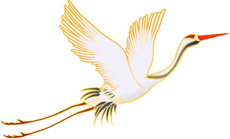 panda sports：
用心服务  缔造价值(图7)