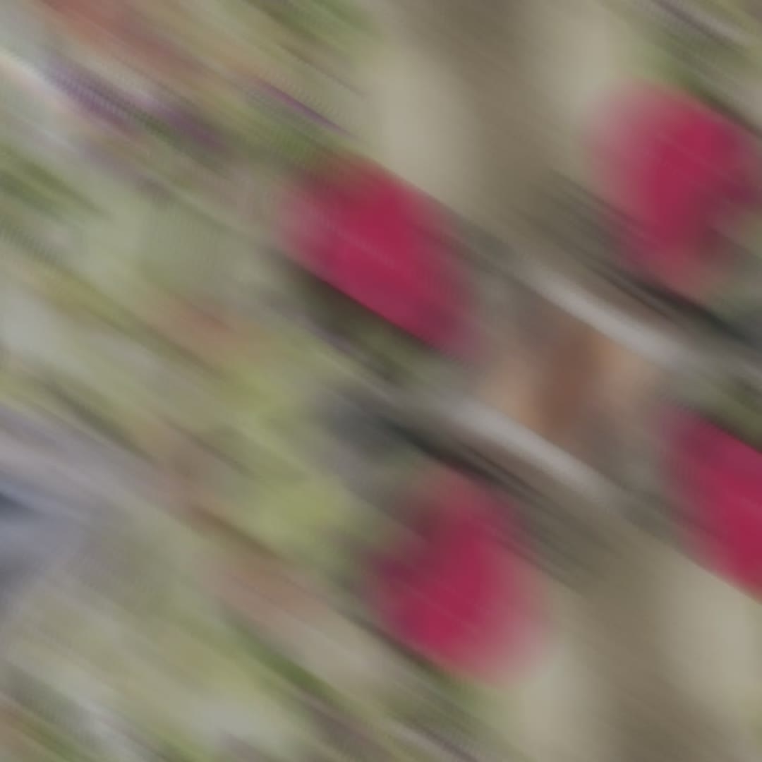 xiongmao体育|
快手身价最高的5个网红 散打第三 第一比祁天道还高!(图1) 熊猫体育