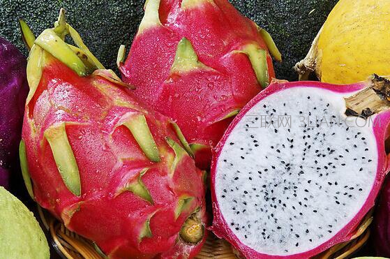 ‘xiongmao体育’四川简阳护士绘制漫画讲述援助武昌医院ICU的感人故事(图3) xiongmao体育