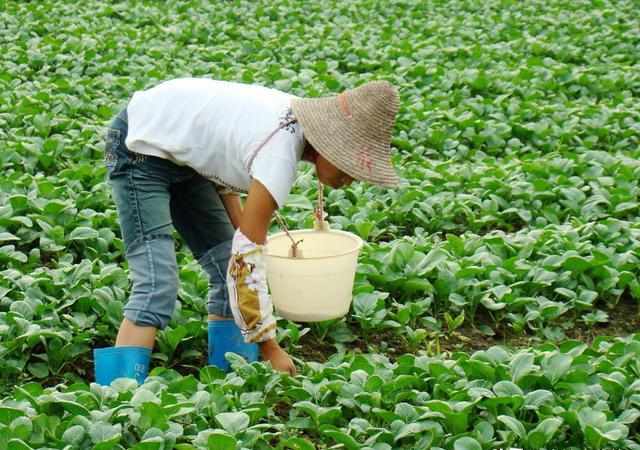 独立动作游戏《突击间谍》公布 5月登陆Steam|熊猫体育(图1) 熊猫体育