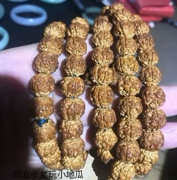 panda sports|期末考试必备:8年级英语上温习提纲第八课(图1) 熊猫体育