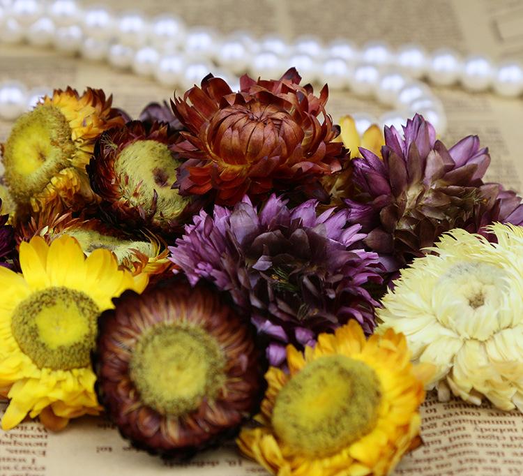 不能任由写作软件横行恣肆_xiongmao体育(图4) 熊猫体育