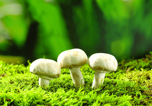 不能任由写作软件横行恣肆_xiongmao体育(图3) 熊猫体育