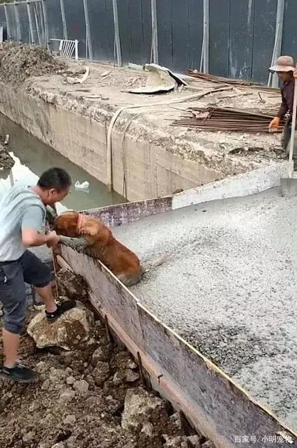 “同人小说”涉及的法律问题|panda sports(图4) panda sports