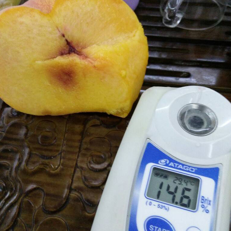 中国封建社会迷惘的年月:理想渐行渐远与现实日渐苦闷【xiongmao体育】(图2) xiongmao体育