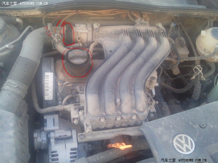 8月新游荐:《巫师3年度版》压轴!佳作集结:panda sports(图3) xiongmao体育