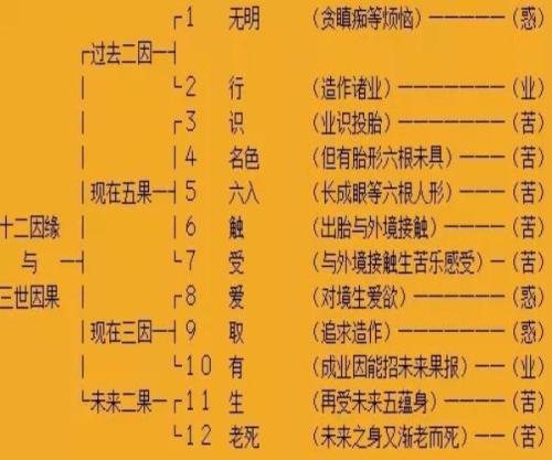 panda sports:春运改变中国,春运成就中国(图1) 熊猫体育