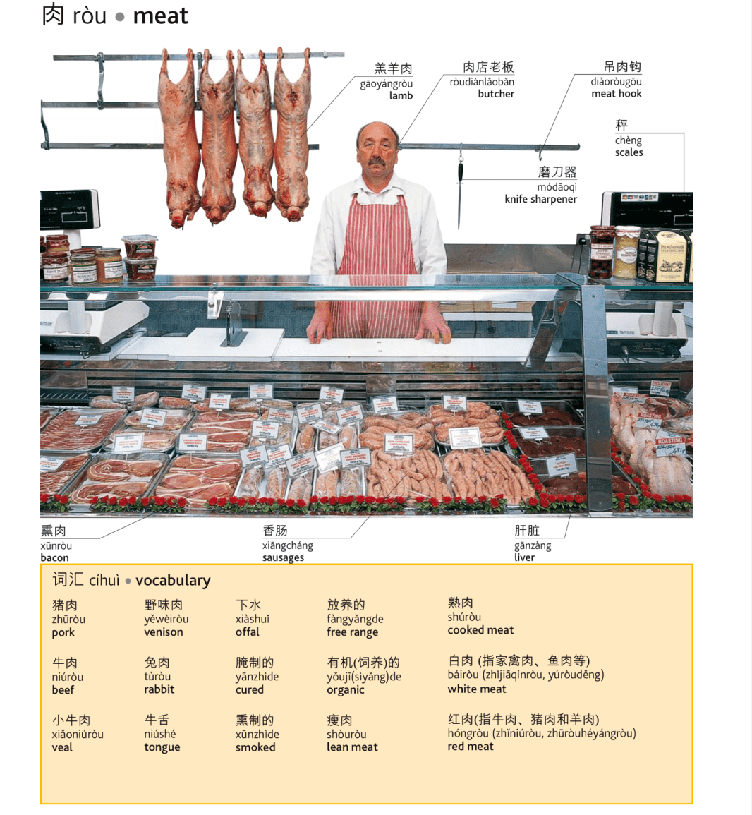 熊猫体育_*
险些所有食材的英文翻译 建议收藏!(配音标)(图1) 熊猫体育_*
险些所有食材的英文翻译 建议收藏!(配音标)(图1)