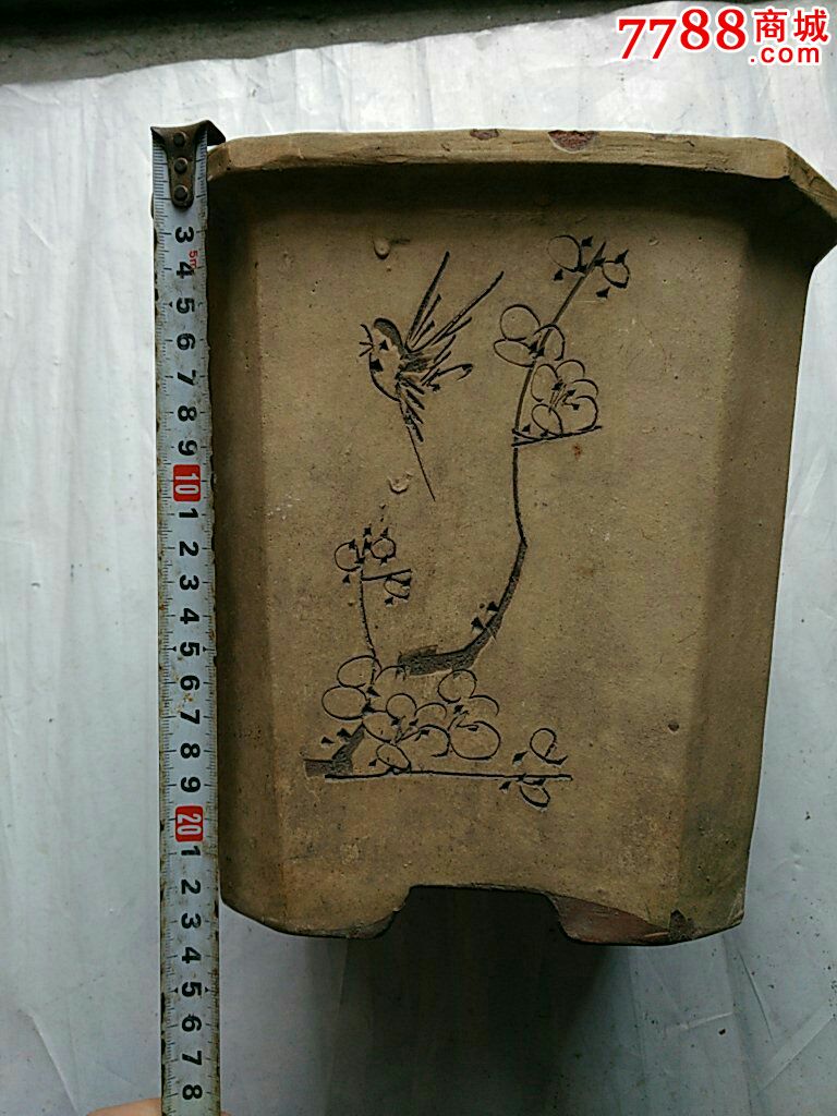 熊猫体育