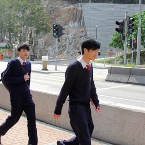 ‘熊猫体育’“二胎症结”急需一剂社会良方(图1) 熊猫体育