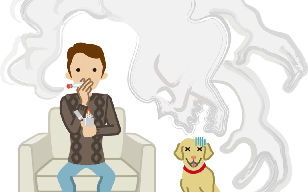 ‘熊猫体育’为什么选择比特币:今天的钱是如何运作的?(图2) 熊猫体育